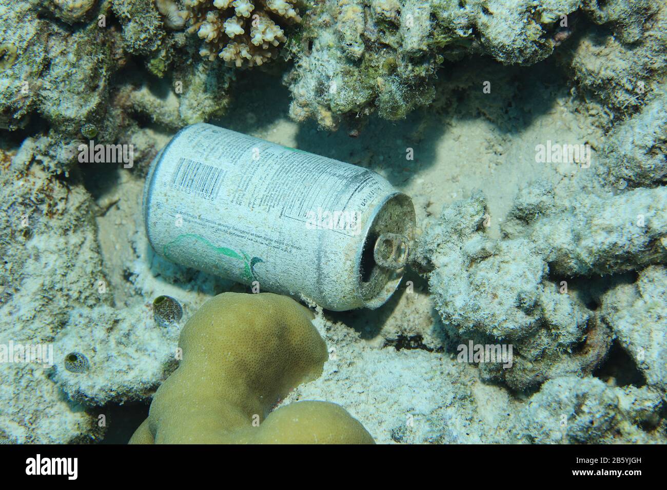 Old drink can underwater on the bottom of the indian ocean Stock Photo