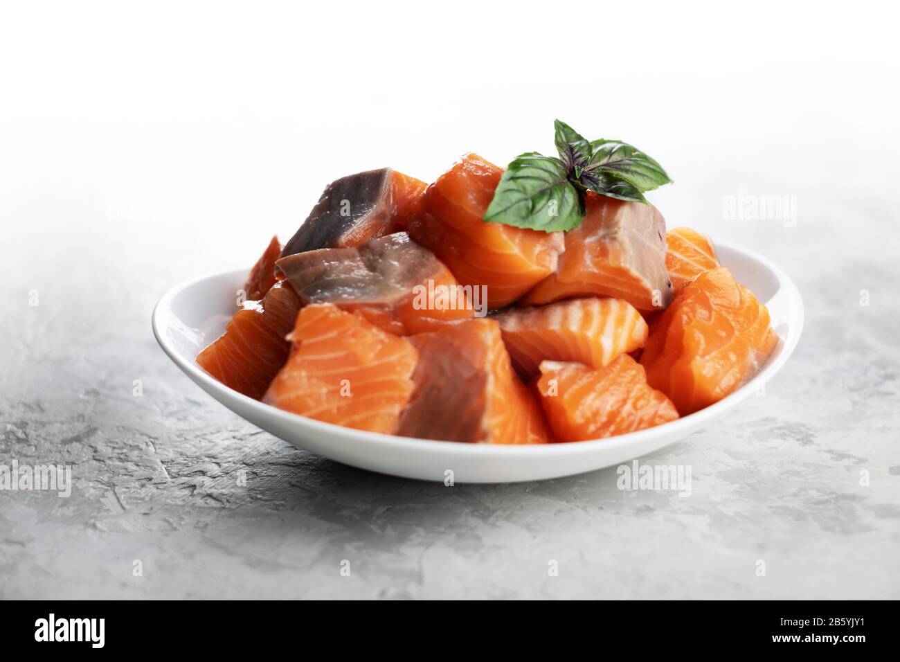 Pieces of salmon trout fillet fish in white plate closeup. Food photography Stock Photo