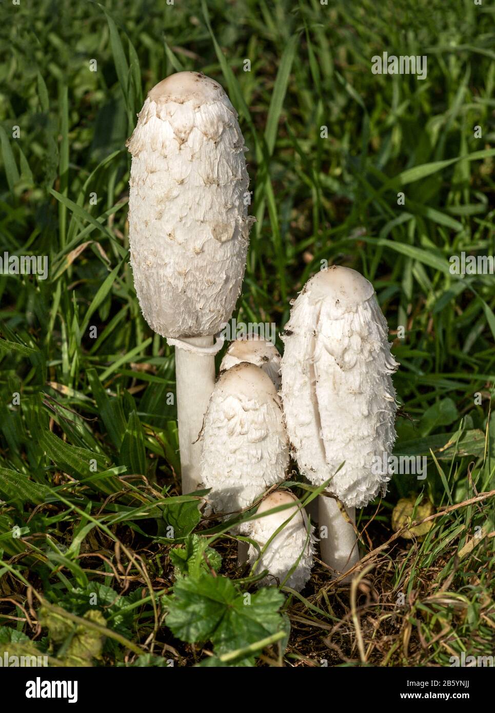 Moskvada transvestitlar bilan jinsiy aloqa Koz yoshlari uchun birinchi marta anal porno