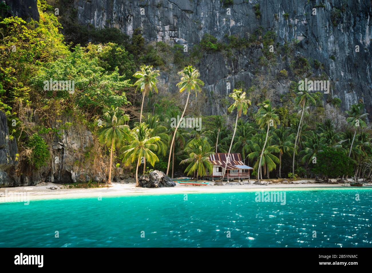 Secluded remote beach with hut under palm trees on Pinagbuyutan Island.  Amazing lime stone rocks, sand beach, turquoise blue lagoon water Stock  Photo - Alamy, image size:1300x956