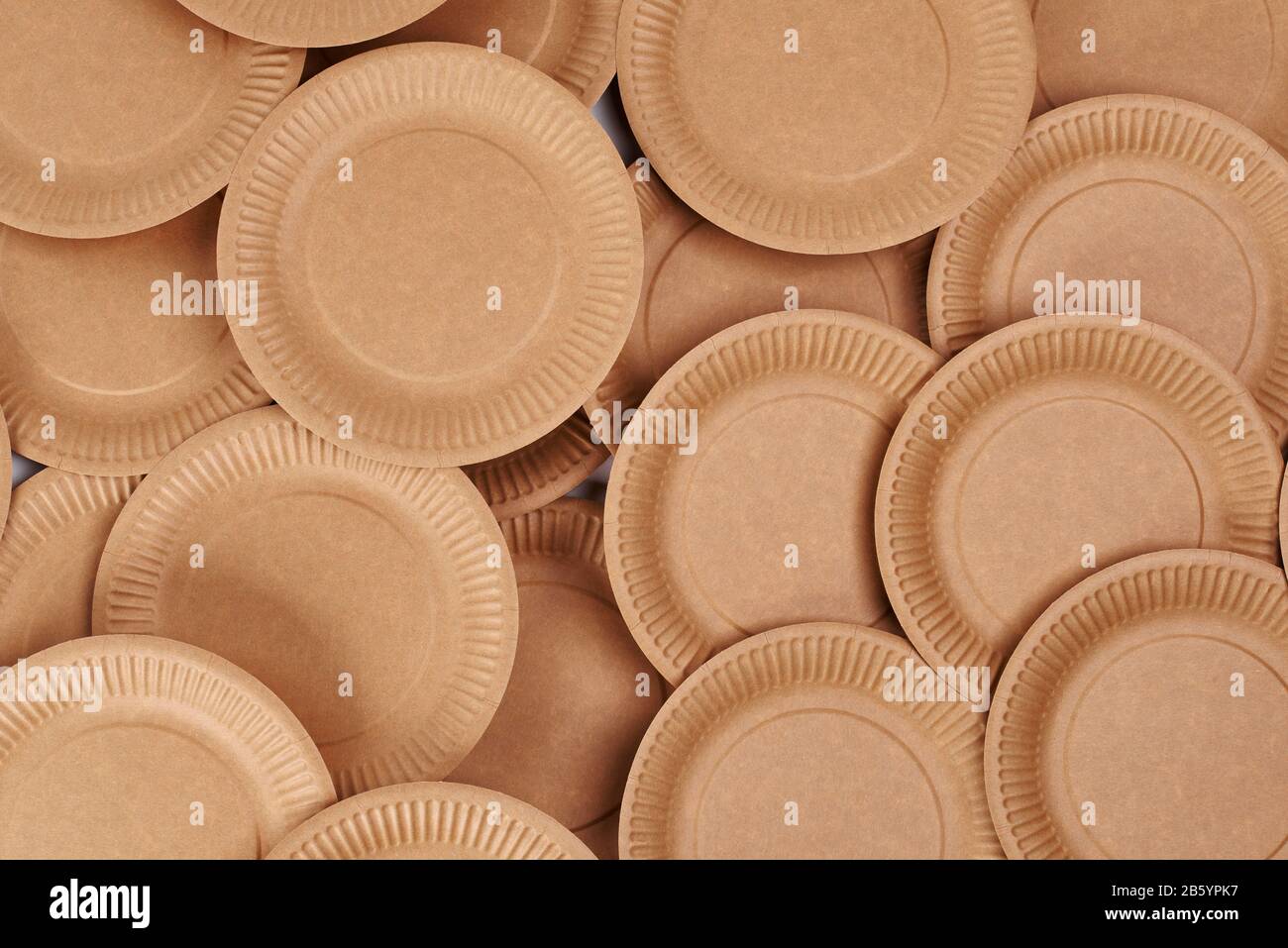 disposable paper dish