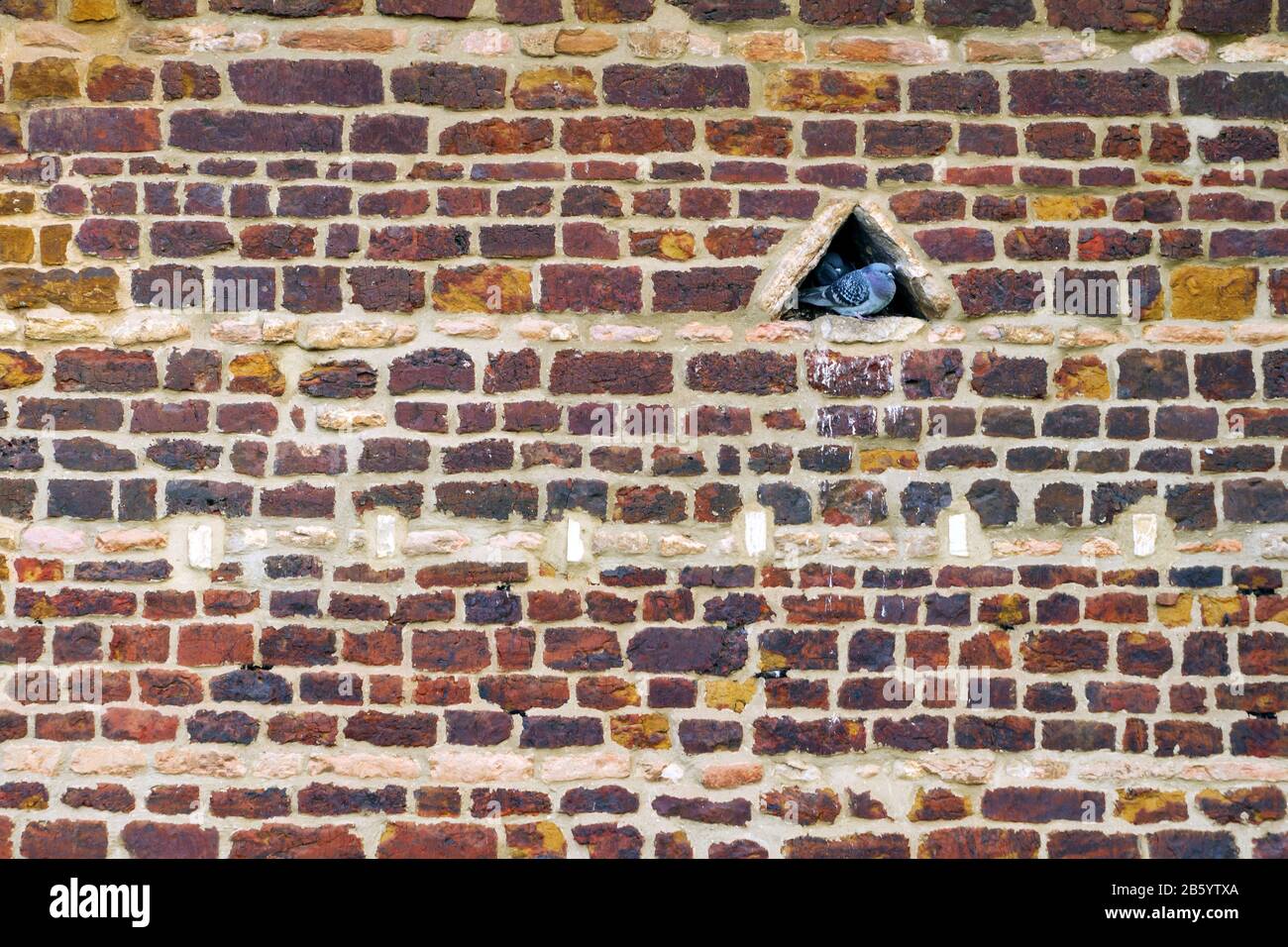 old stone wall building texture in england uk Stock Photo - Alamy
