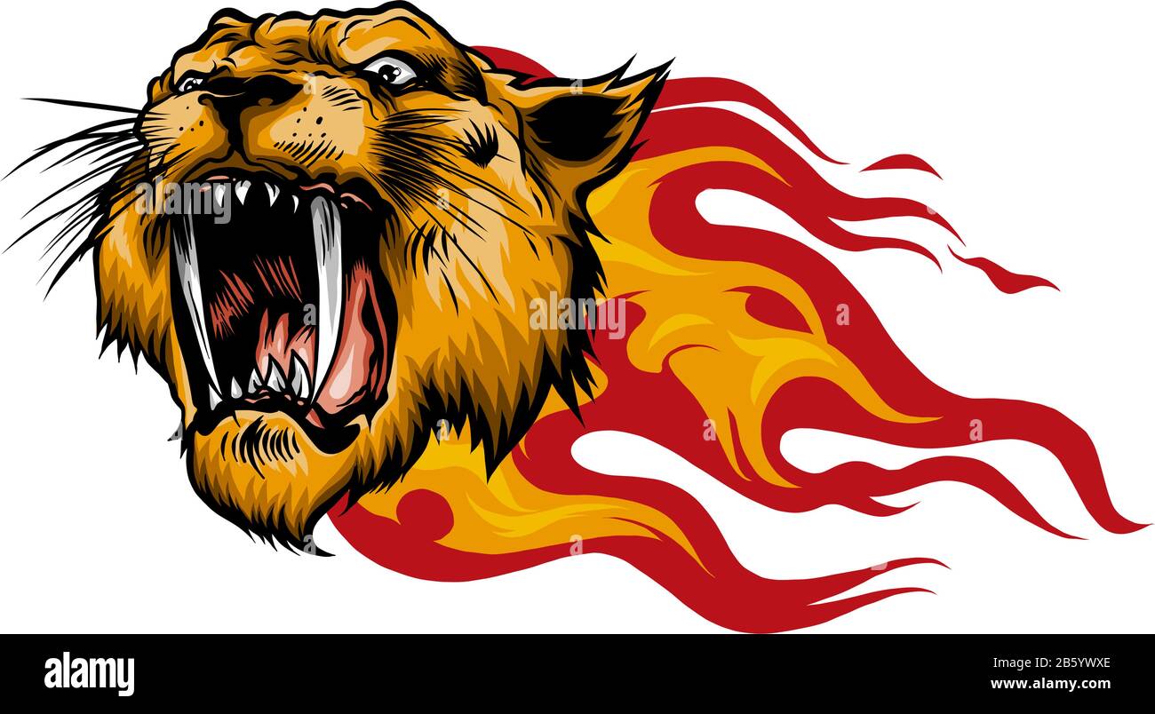 Top 51 angry fire tiger wallpaper best  incdgdbentre