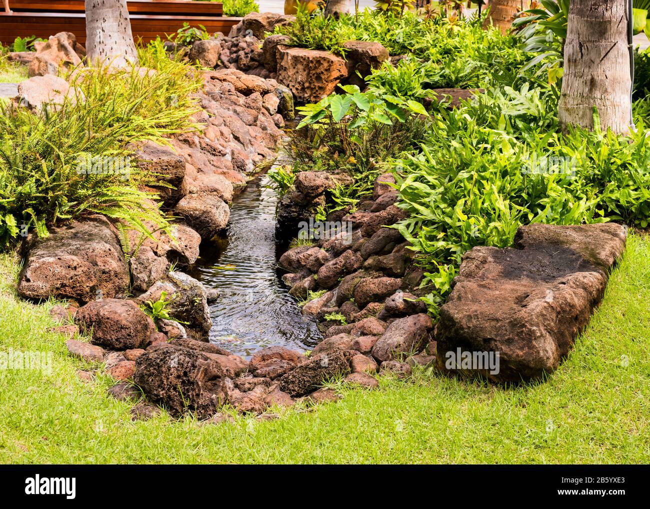 Pretty Water Panther Playground Pretty Water Tastes Julie