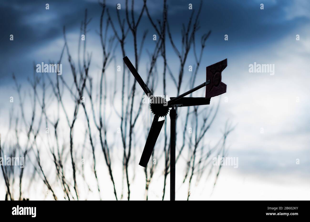 Foreground tree line silhouette hires stock photography and images Alamy