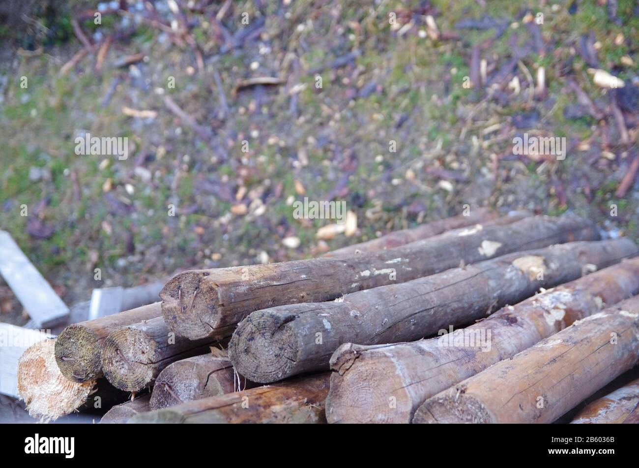 stacked wood with a blured foreground Stock Photo