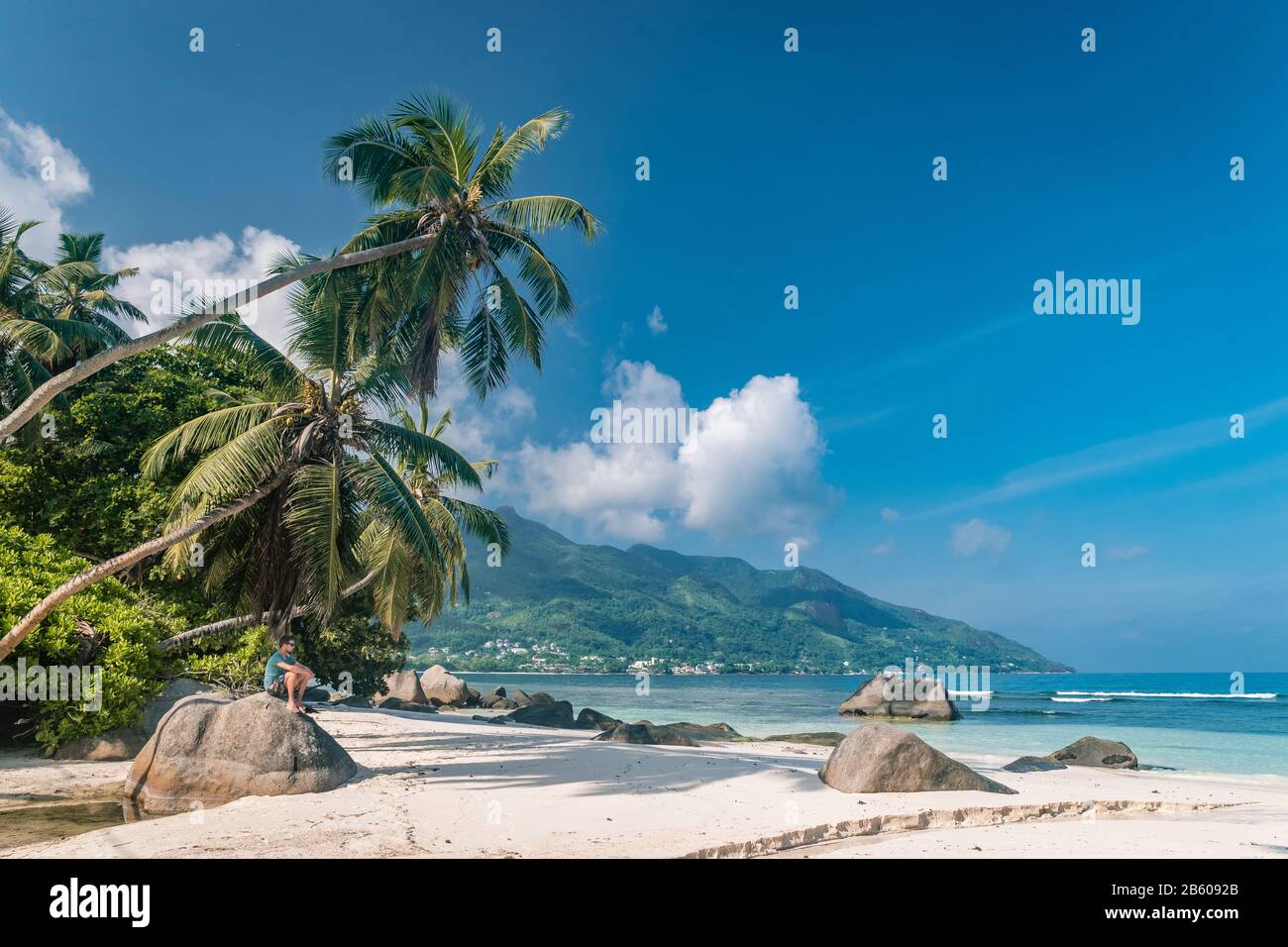 Tropical beach Seychelkles , white beach with palm tree at Praslin Seychelles Stock Photo