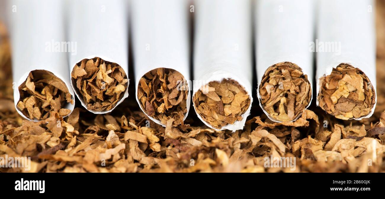 effects of smoking tobacco on the brain What nicotine does to your brain
