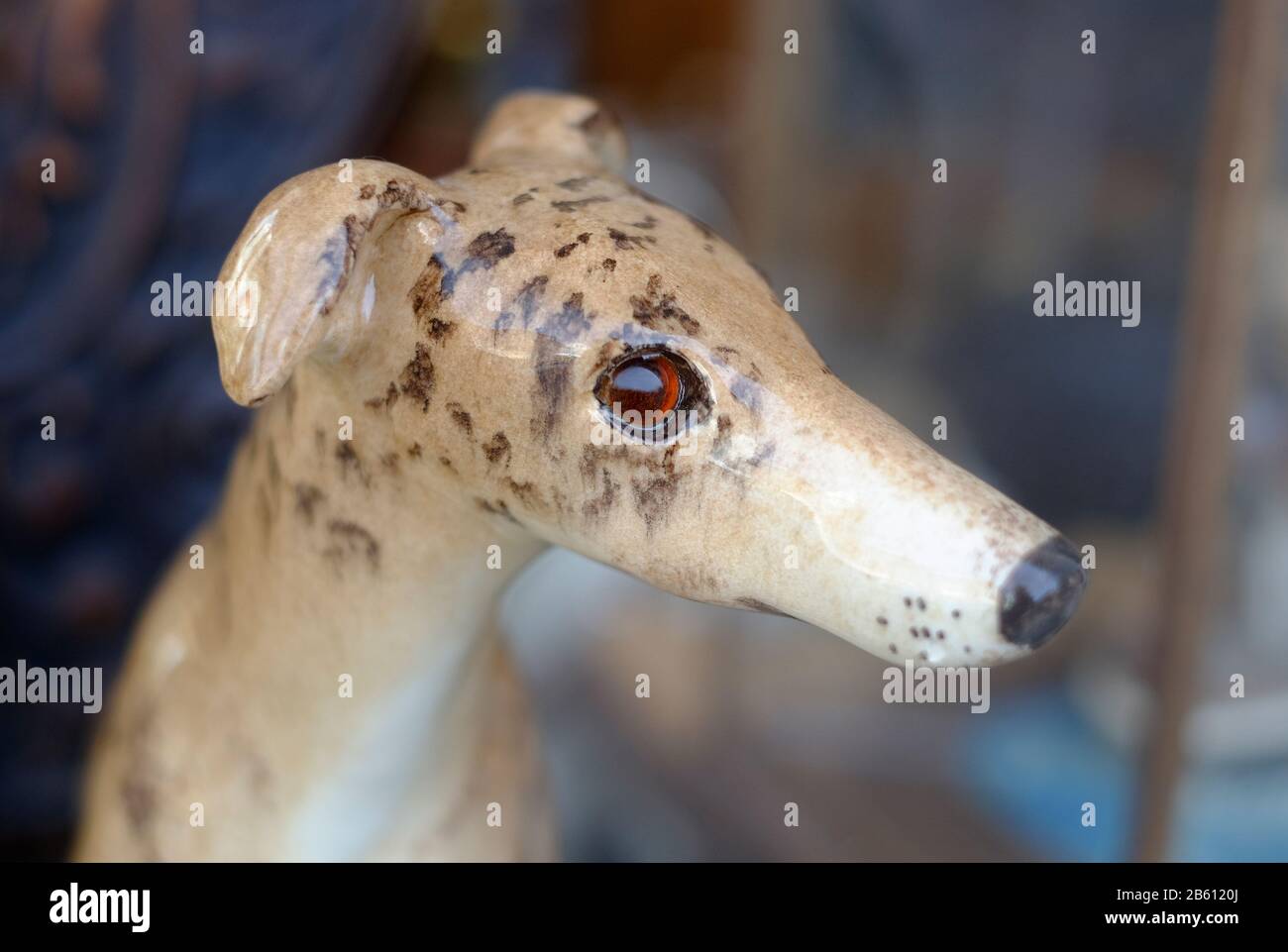 porcelain head of greyhound type dog Stock Photo