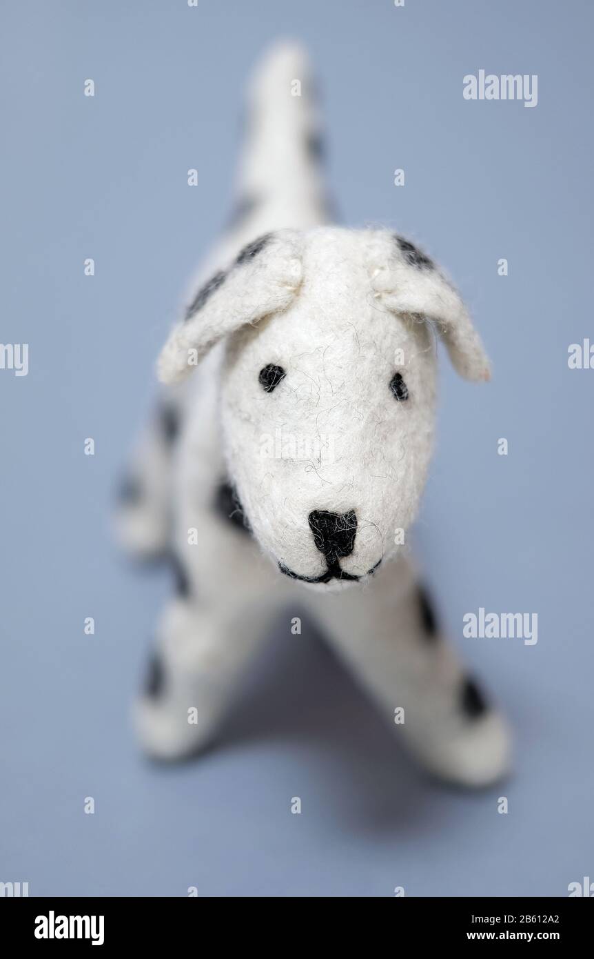 fabric toy dalmatian dog on blue background Stock Photo