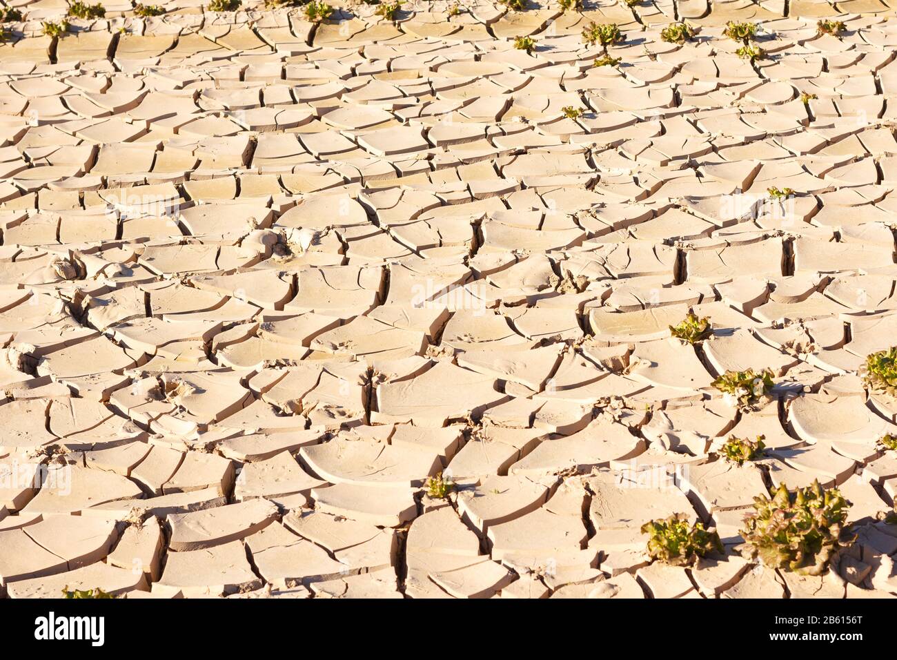 Poorly Earth Lack of vegetation hi-res stock photography and images - Alamy