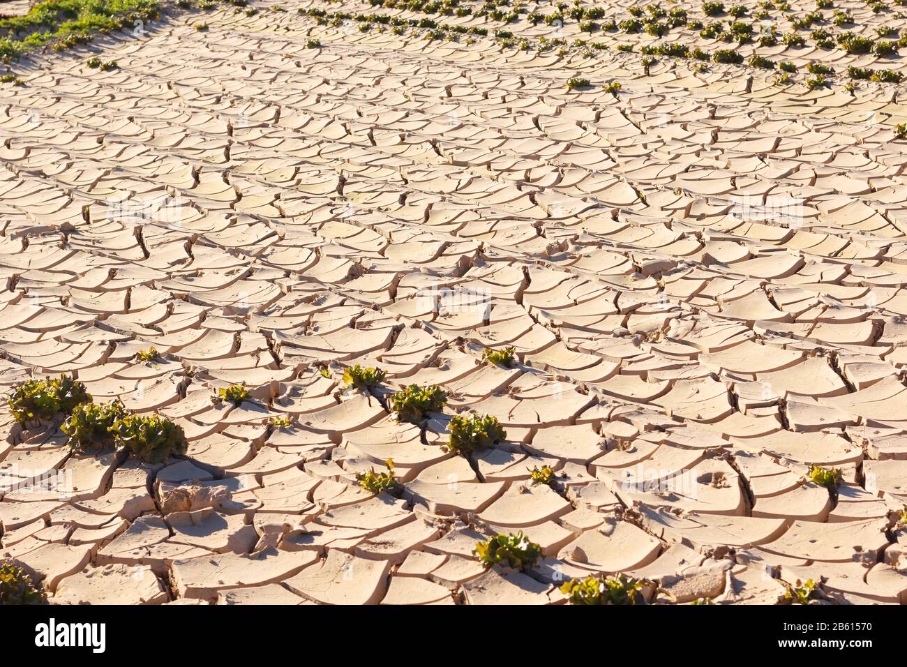Poorly Earth Lack of water, sun and little rain, land broken by little irrigation ...