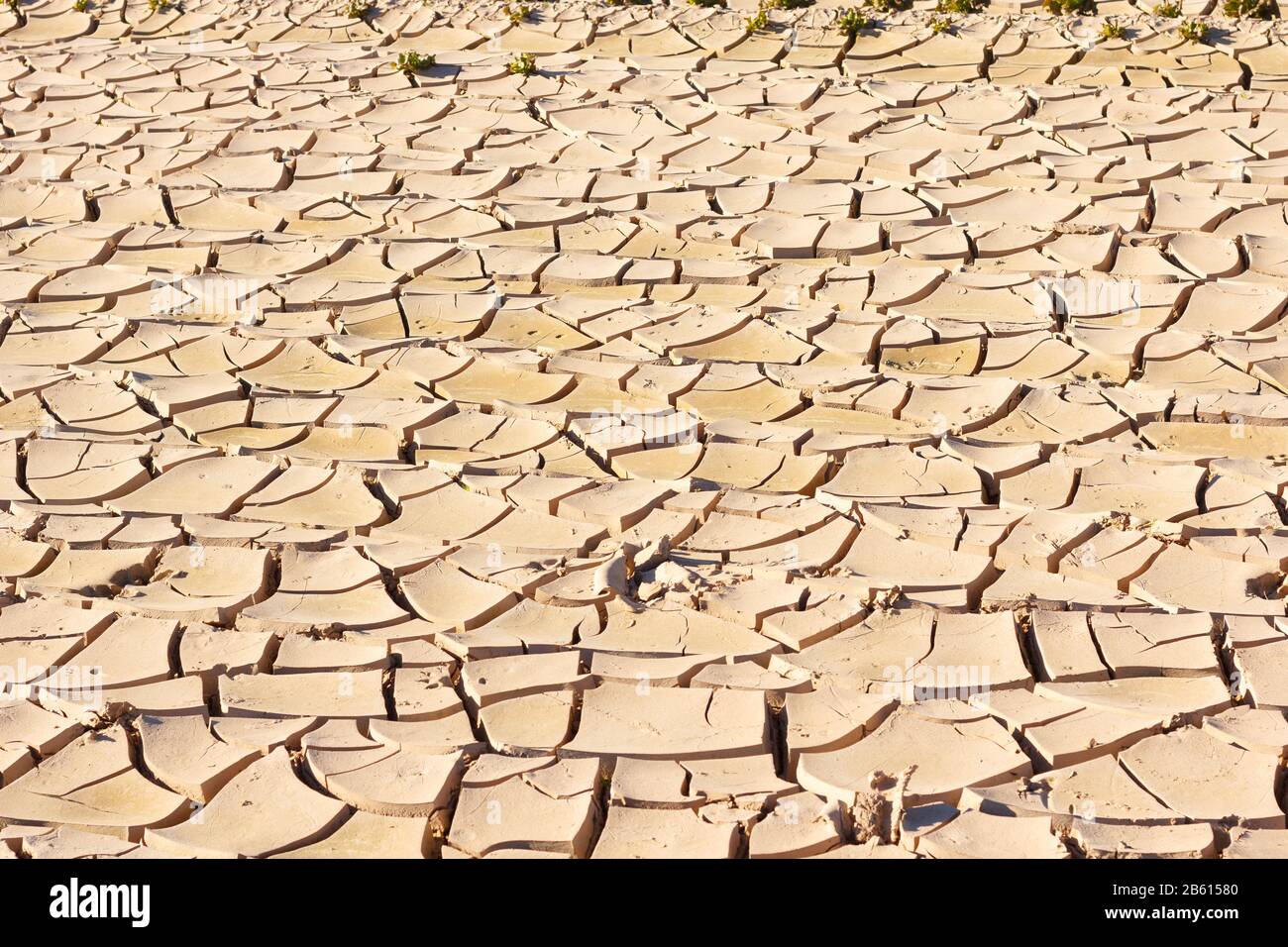 Poorly Earth Lack of water, sun and little rain, land broken by little irrigation ...