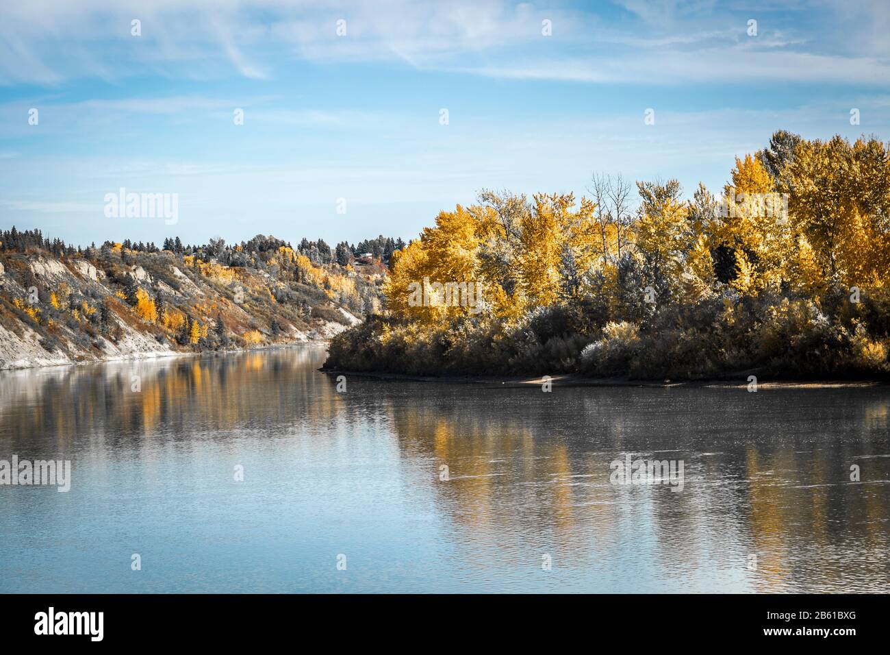 Golden leaves during fall on the Saskatchewan river Edmonton Alberta. Stock Photo