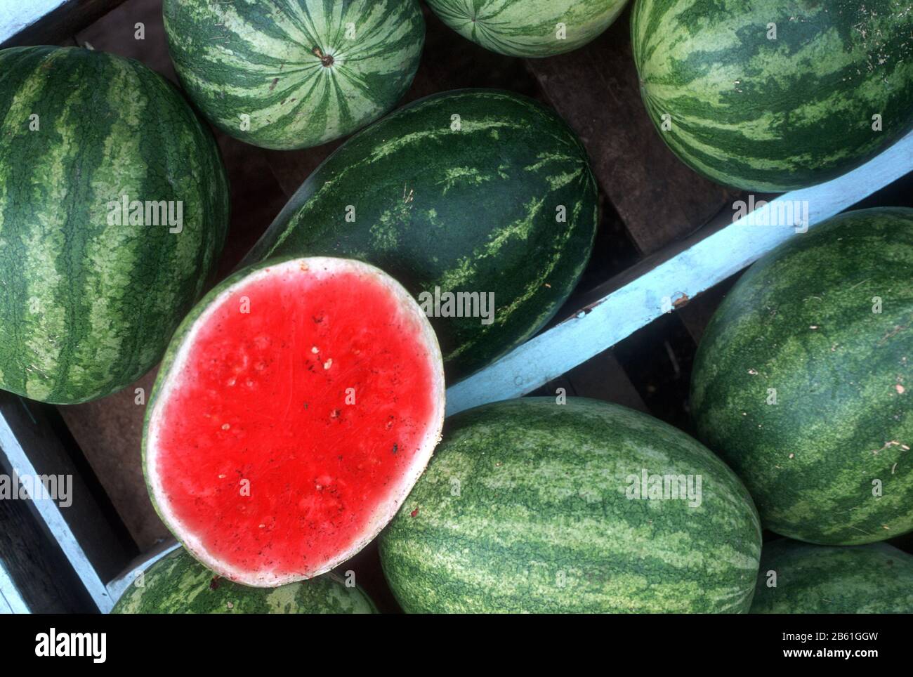 Water melons for sale at the side of the road in Jalisco, Mexico Stock