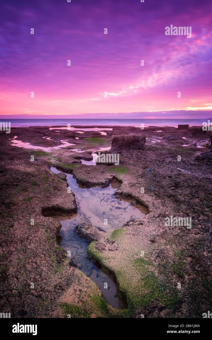 Adorable dramatic sea sunset. In tones of purple Stock Photo - Alamy