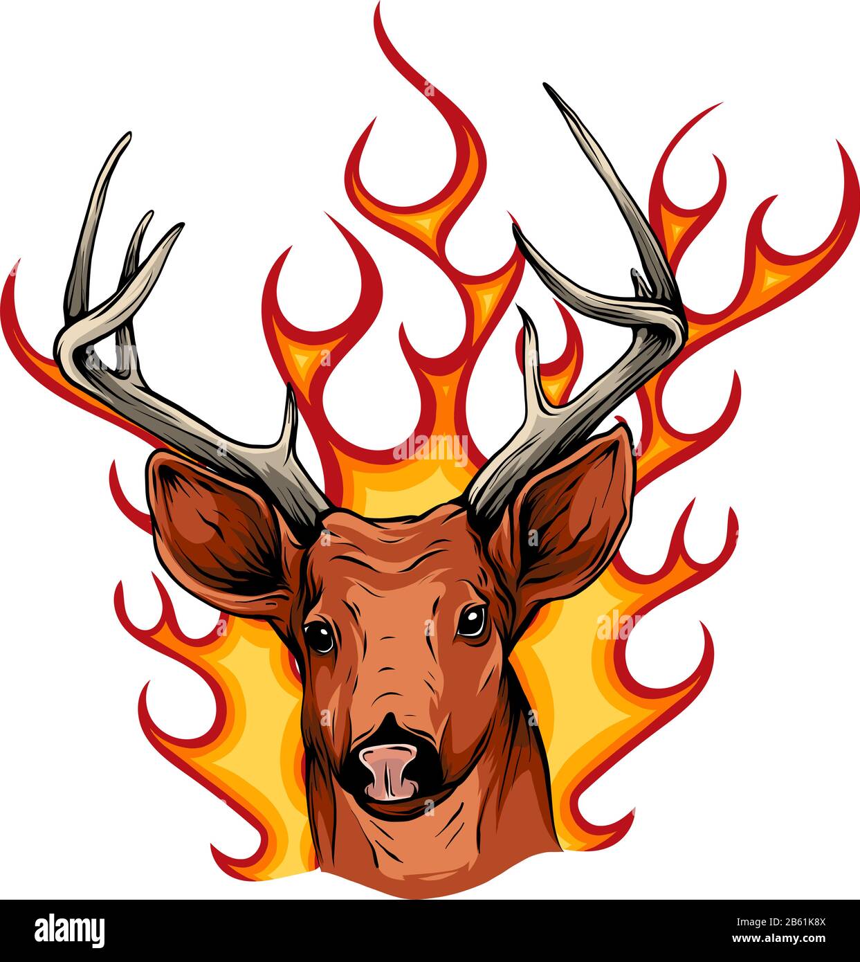 Deer head isolated on white background vector Stock Vector Image & Art