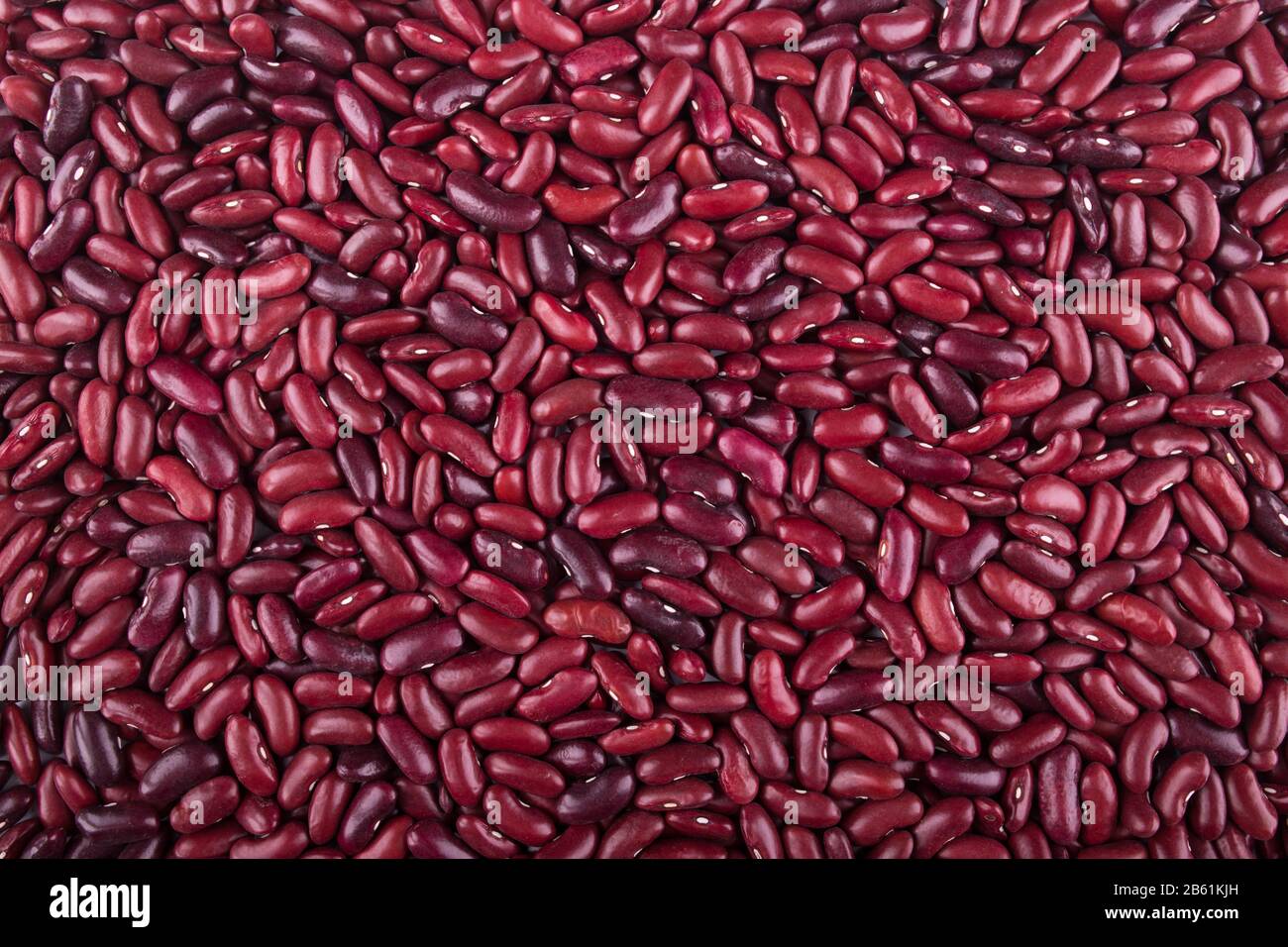 Background from a layer of red large beans. Brown bean solid background. Stock Photo