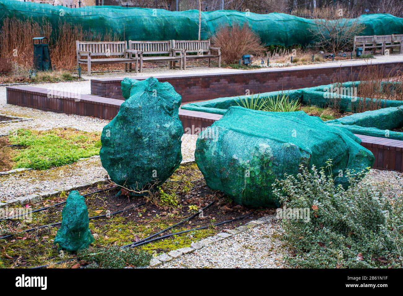Plants and trees in a park covered with plastic sheets to protect them