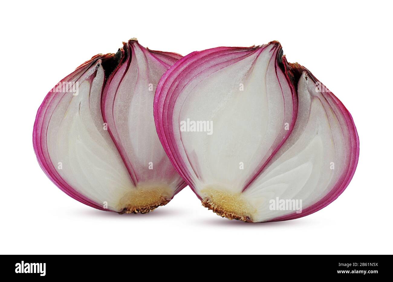 Red onion vegetable isolated on white background Stock Photo
