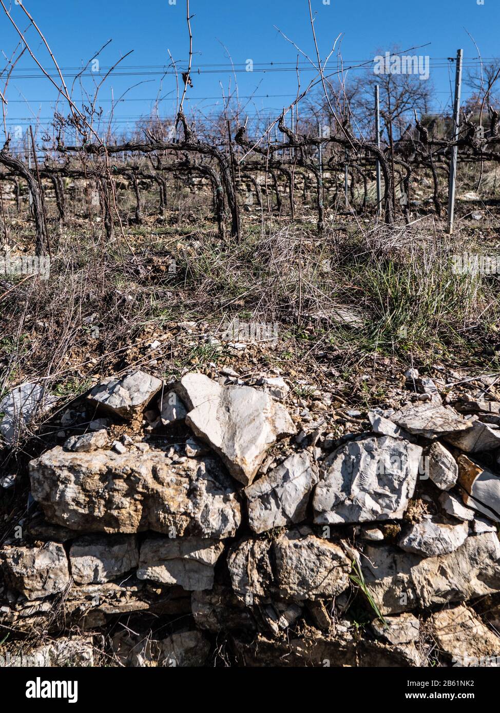 An amazing stony vineyard in the Chianti Classico zone Stock Photo