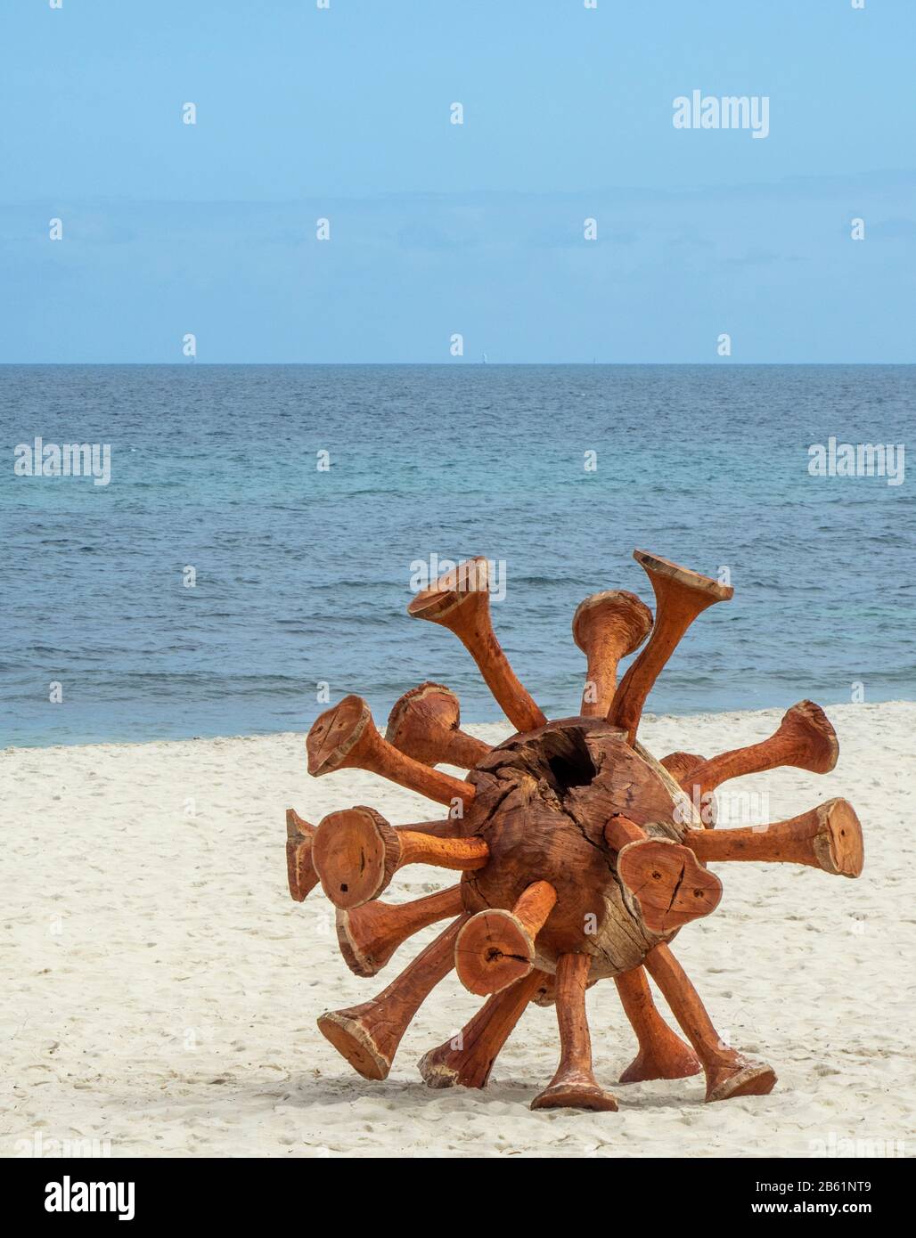 Wooden Viral Escapade by Marcus Tatton sculptor artist at Sculpture by the Sea exhibition Cottesloe Beach Perth WA Australia Stock Photo