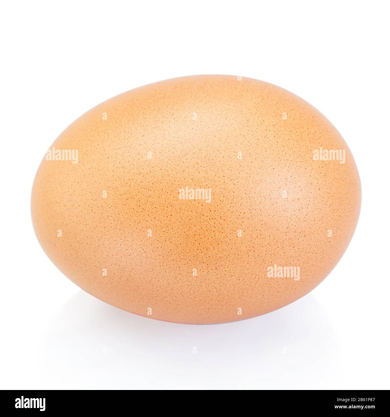 Chicken egg raw 9339329 PNG