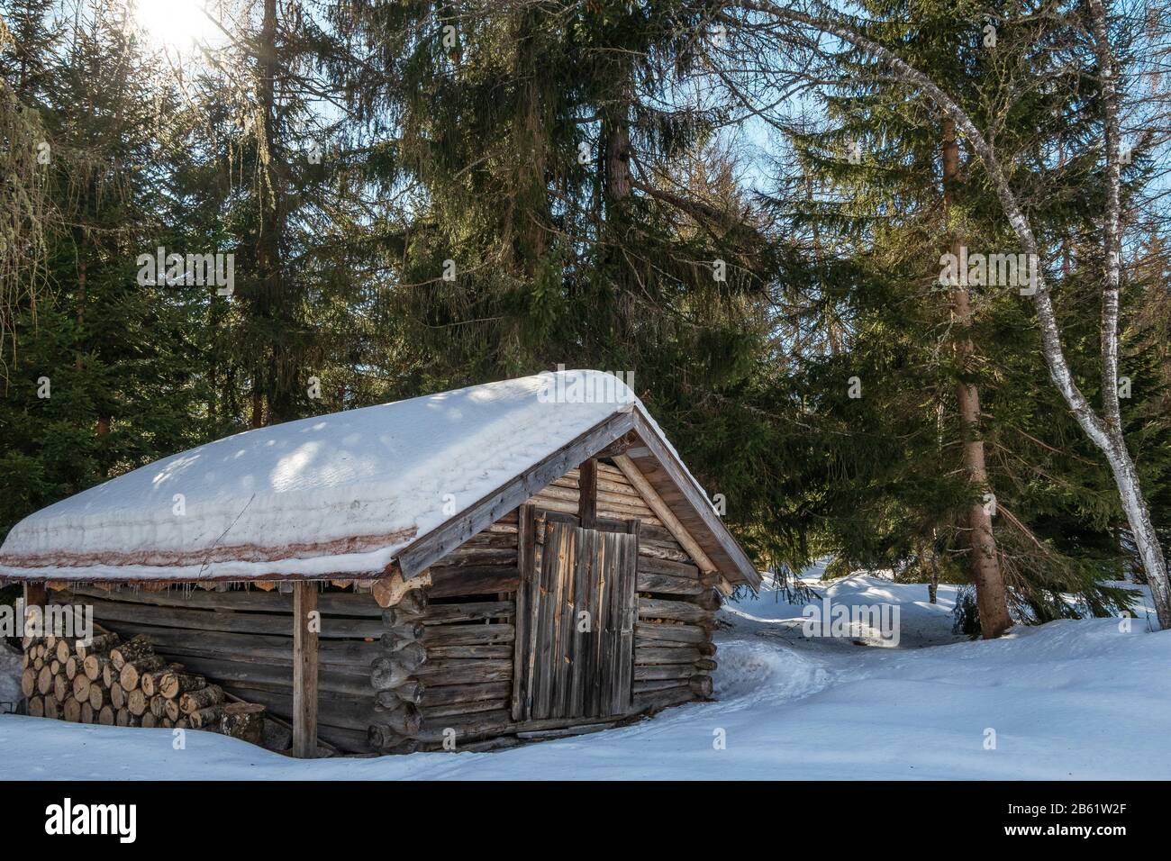 Wooden chalet with cut tree trunks. Winter season, snow. Forest of Seefeld in Tirol. Austria. Europe. Stock Photo