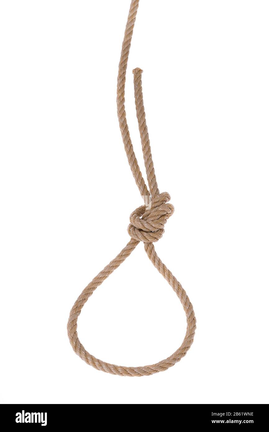 Thick ropes of flax tied in noose for hanging. On a white