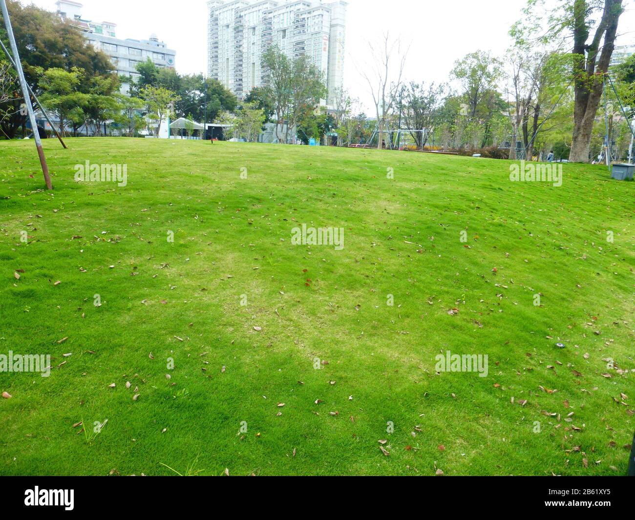 Spring lawn landscape Stock Photo