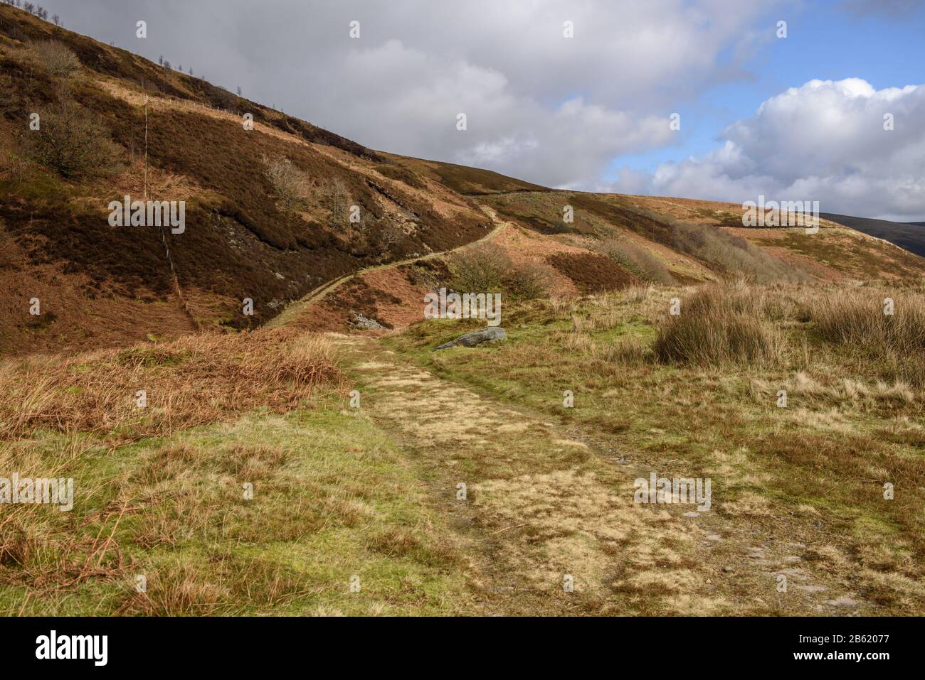 Track to Holdron Moss in the Langden Valley of Lancashire's Forest of Bowland Stock Photo