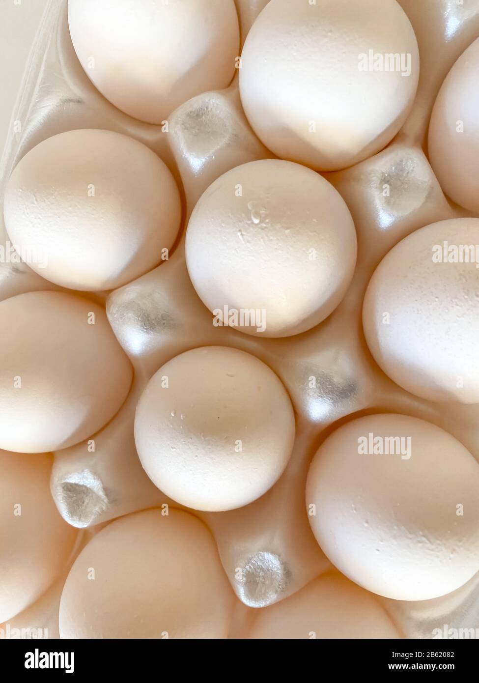 Fresh white eggs in an egg carton Stock Photo - Alamy