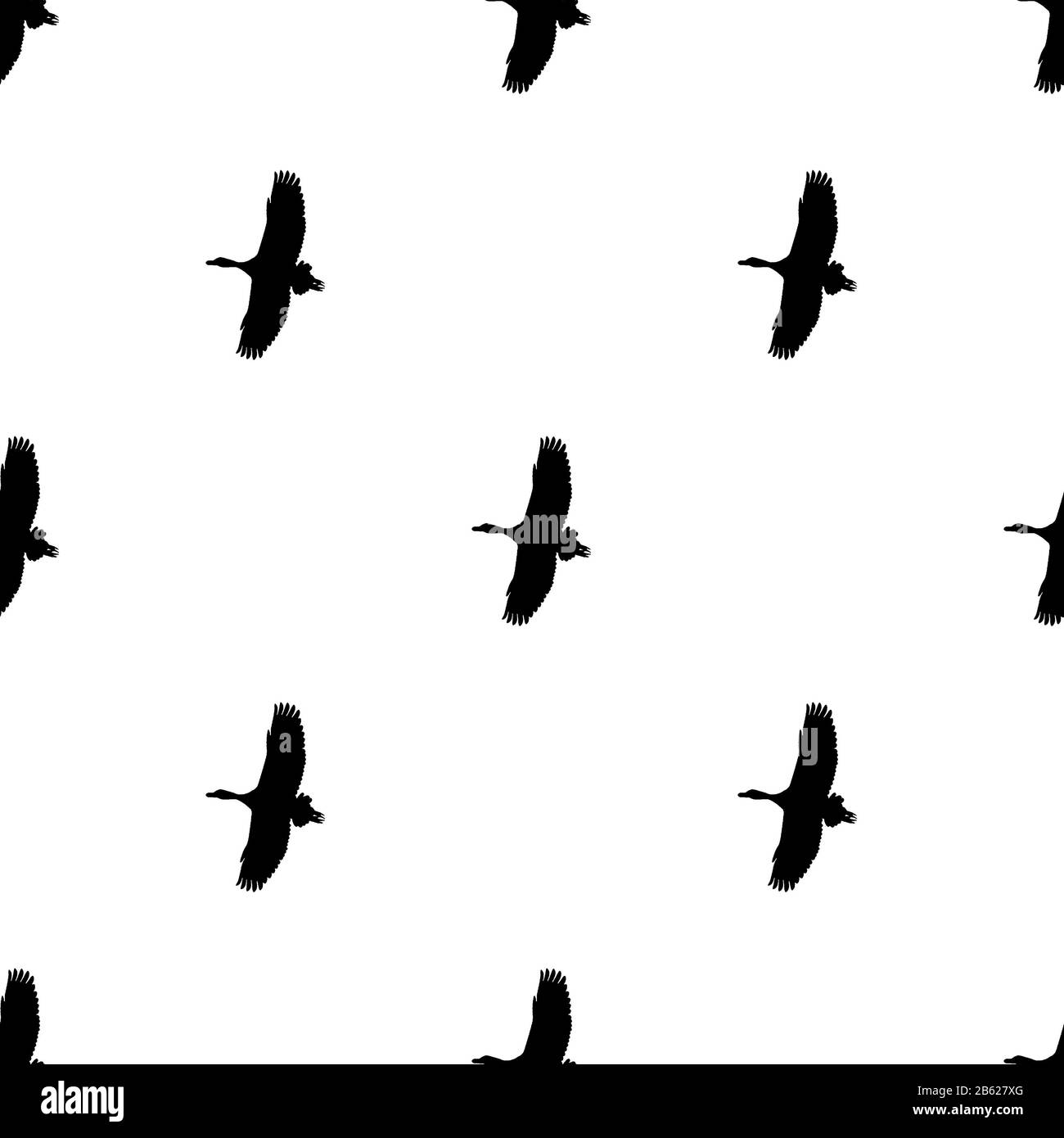 Birds Motif High Resolution Stock Photography And Images Alamy Birds Motif High Resolution Stock Photography And Images Alamy