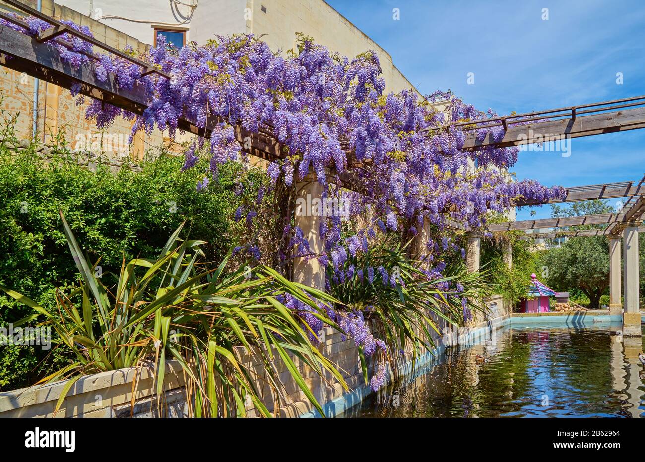 Wistaria garden gardens hi-res stock photography and images - Alamy