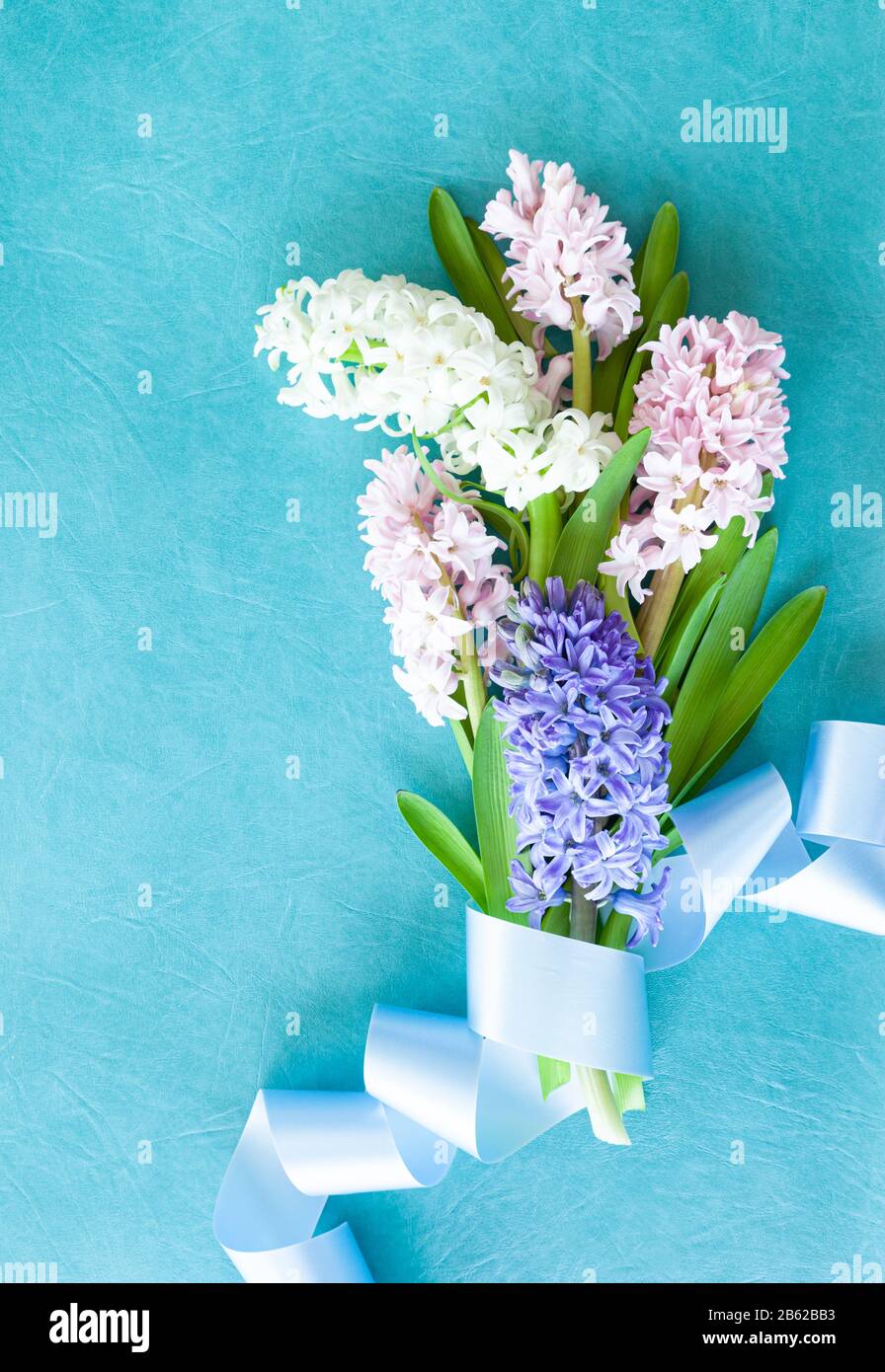Fresh hyacinth flowers on a blue background Stock Photo - Alamy