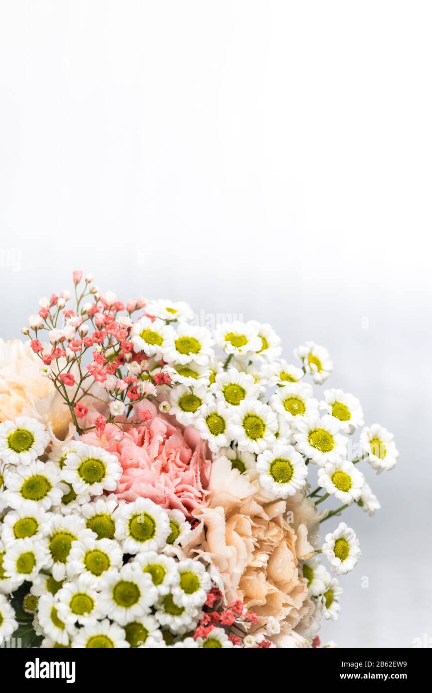 Still life of flowers on white background Stock Photo - Alamy
