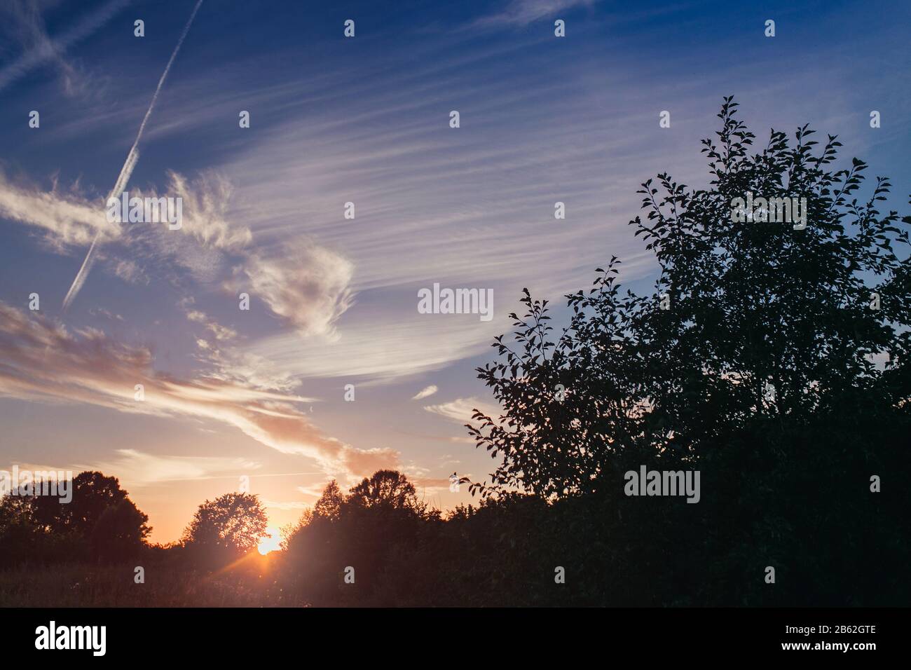 Silhouette of a trees against sunset sky Stock Photo - Alamy