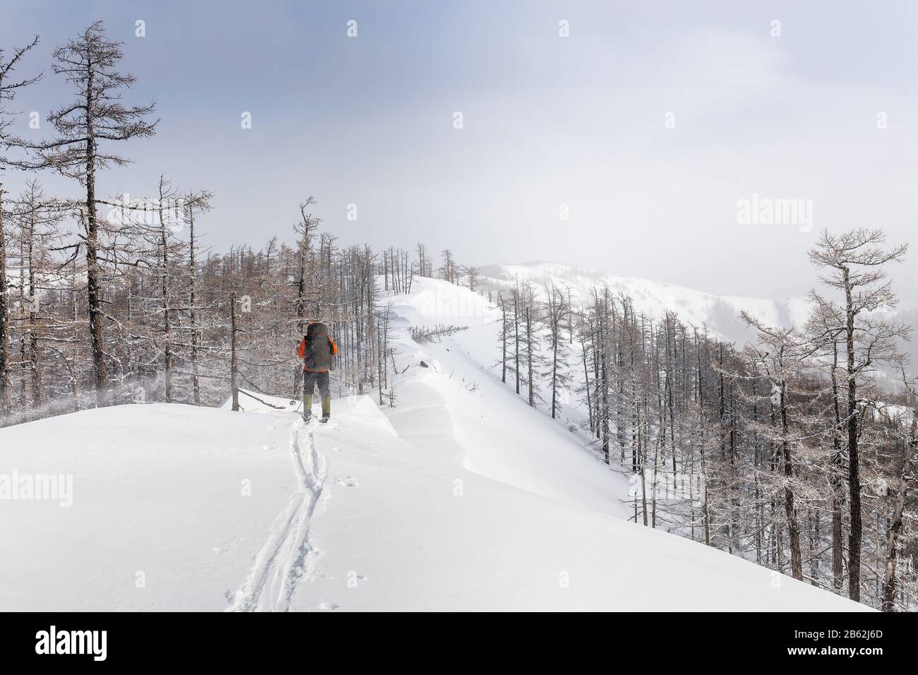 cross-country skier run along a track on.  Bright sunny afternoon, well prepared tracks. Stock Photo