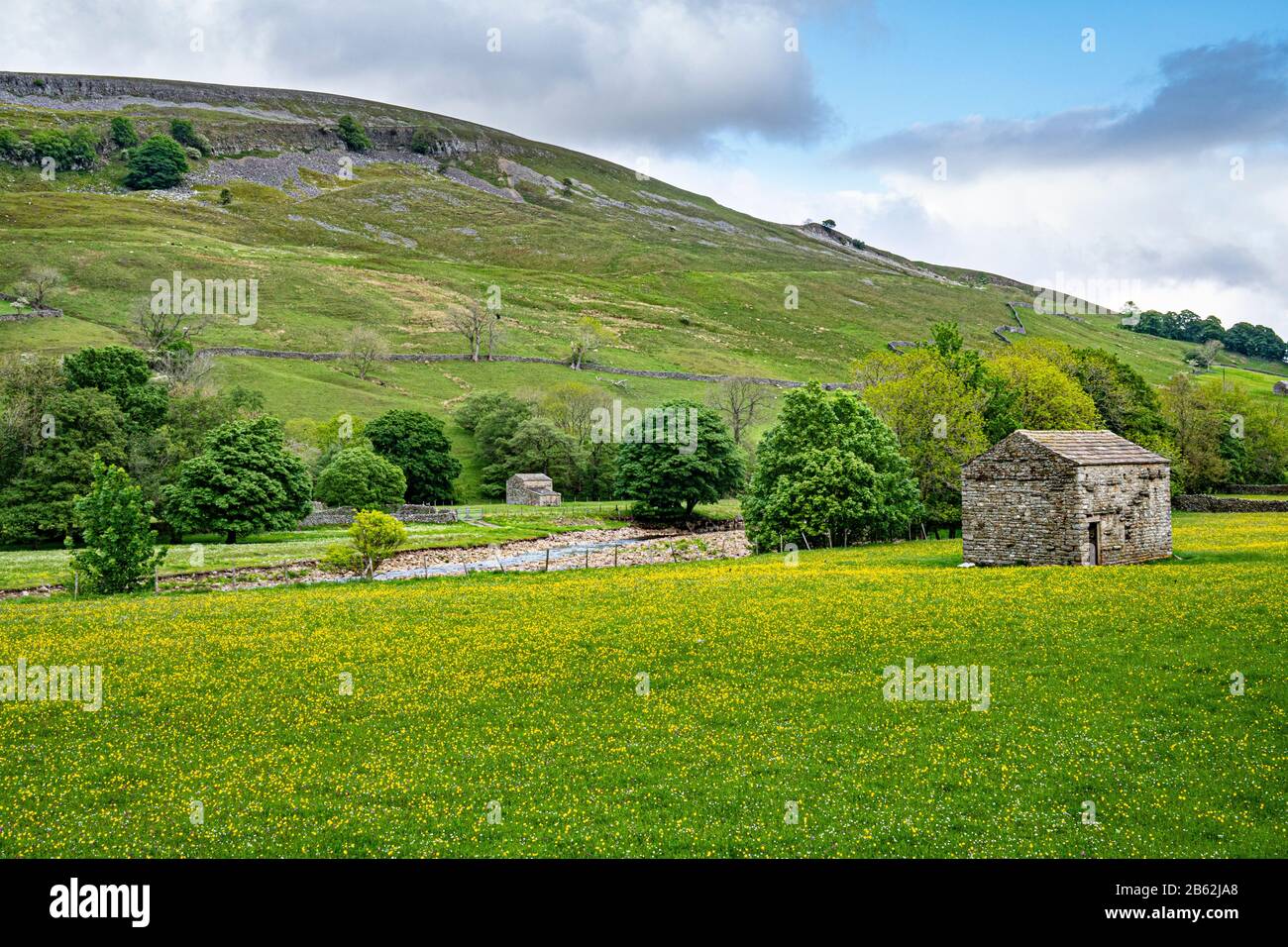Traditional stone barn in hay meadow, upper Swaledale, Yorkshire Dales National Park, England, UK Stock Photo