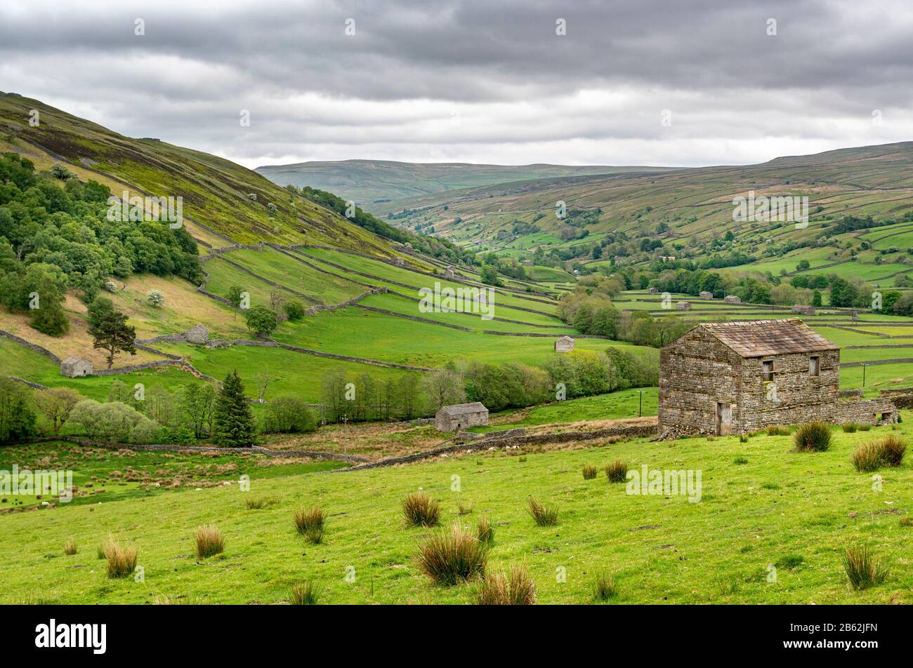 View looking down on traditional stone barns in Swaledale, near Thwaite, Yorkshire Dales National Park. Stock Photo