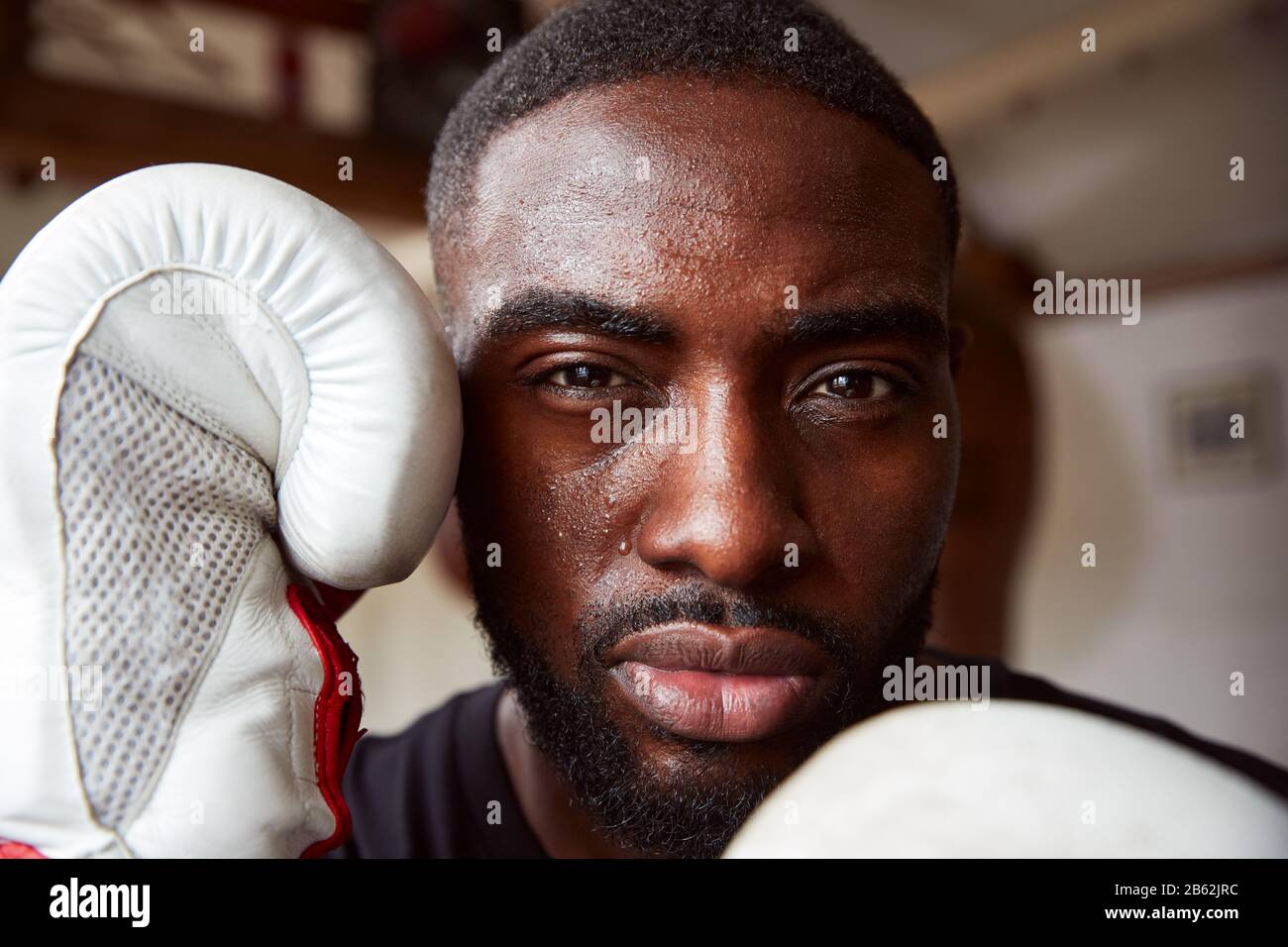 Close Up Portrait Of Male Boxer In Gym Wearing Boxing Gloves Stock