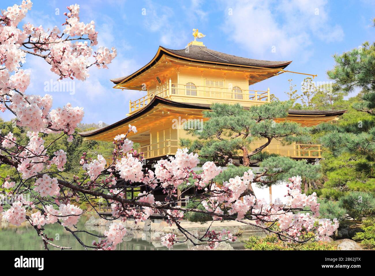 The Golden Pavilion (Kinkaku-ji Temple) and blooming sakura in Rokuon-ji complex (Deer Garden Temple), Kyoto, Japan. UNESCO world heritage site. Japan Stock Photo