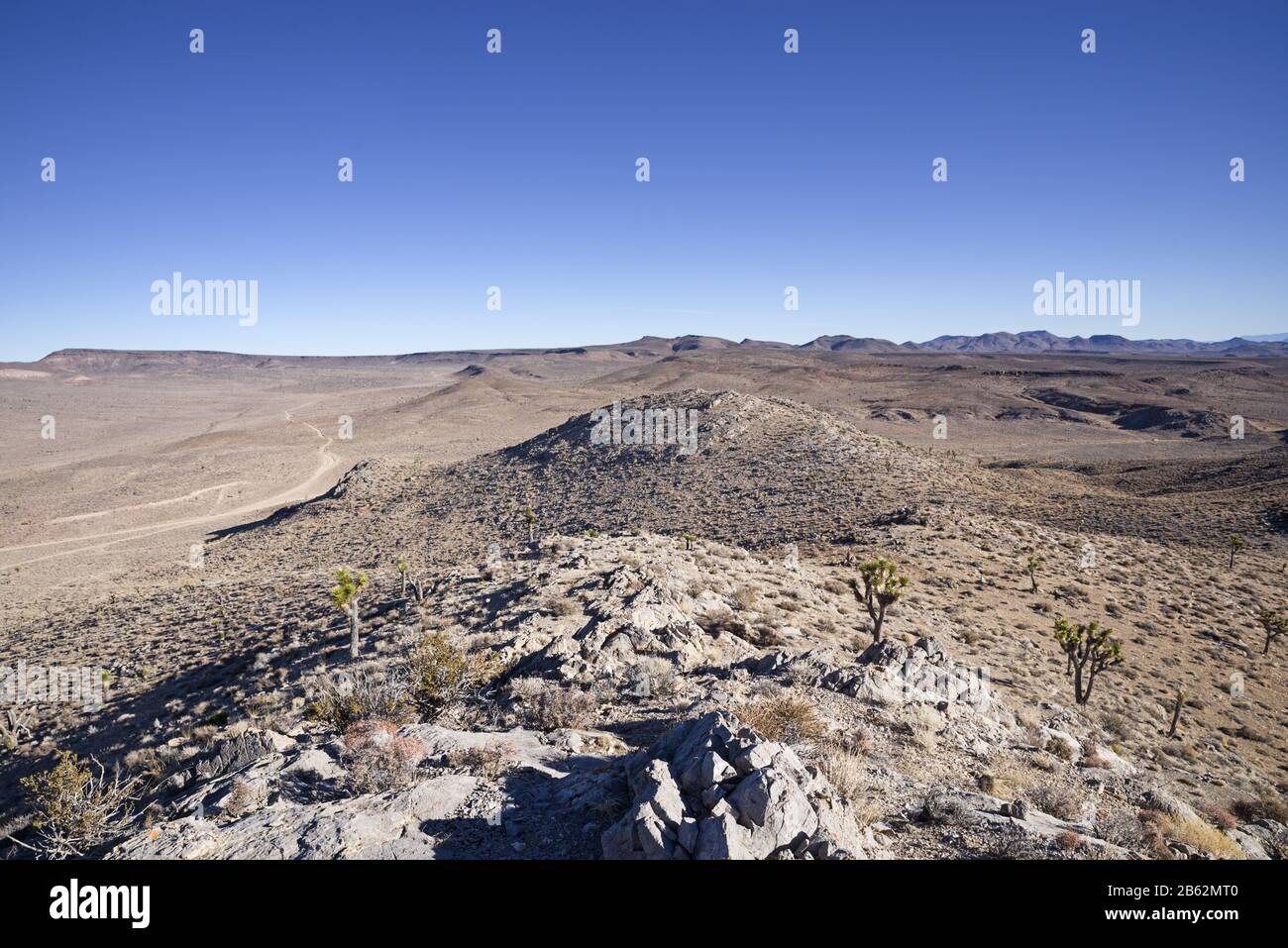 remote desert landscape in western Nevada with limestone peaks and joshua trees Stock Photo