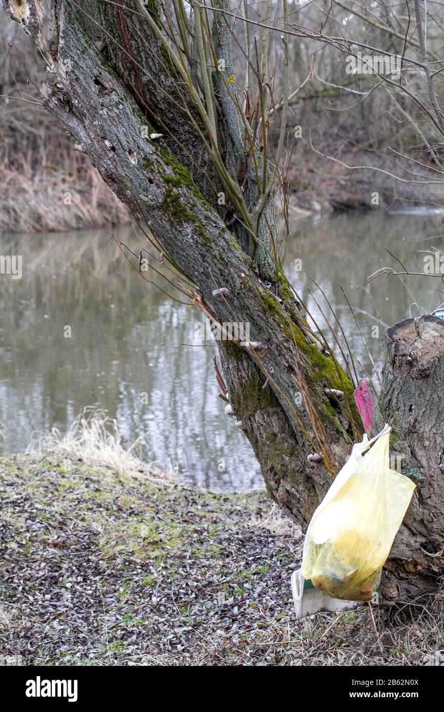 plastic bag with garbage hanging on tree in forest near the river.  pollution ecosystem problem , ecology environment trash Stock Photo - Alamy