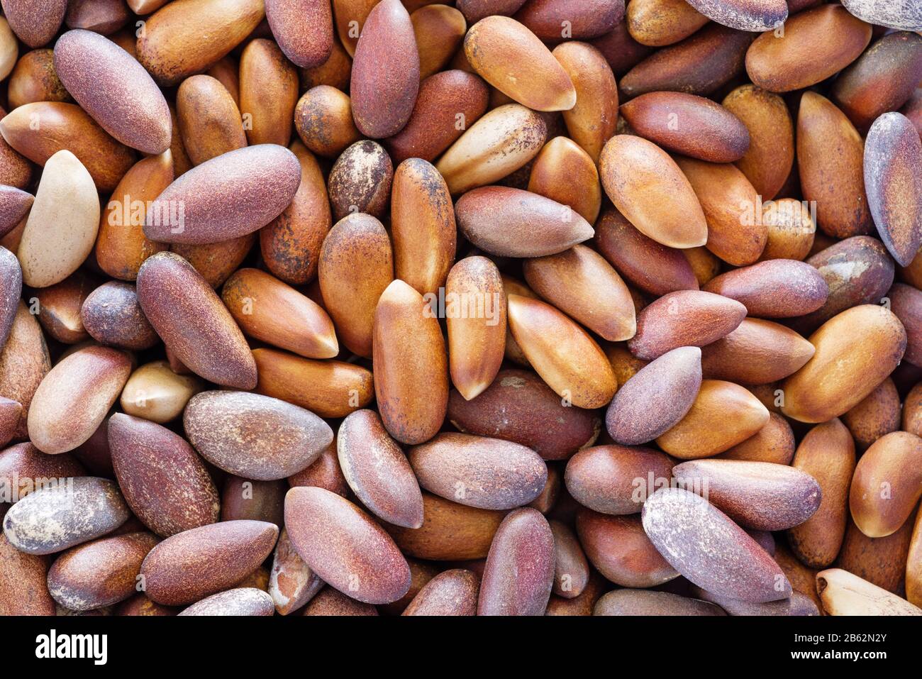 background of unshelled pine nut seeds Stock Photo
