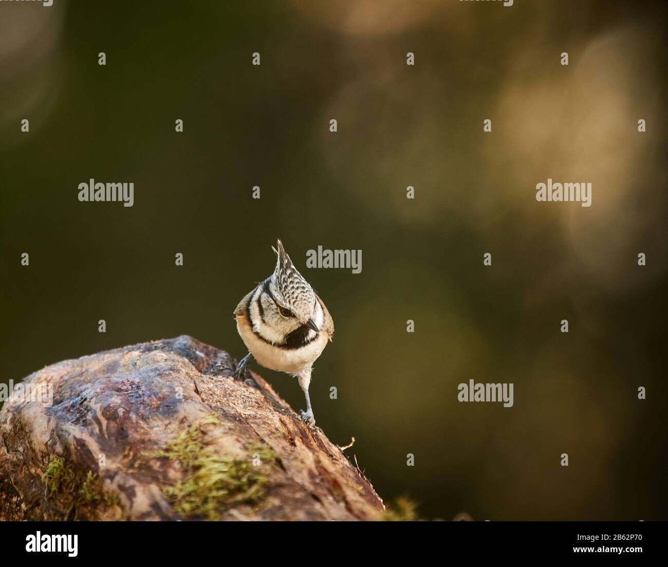 TIT 2 ANDACHT visual data 8