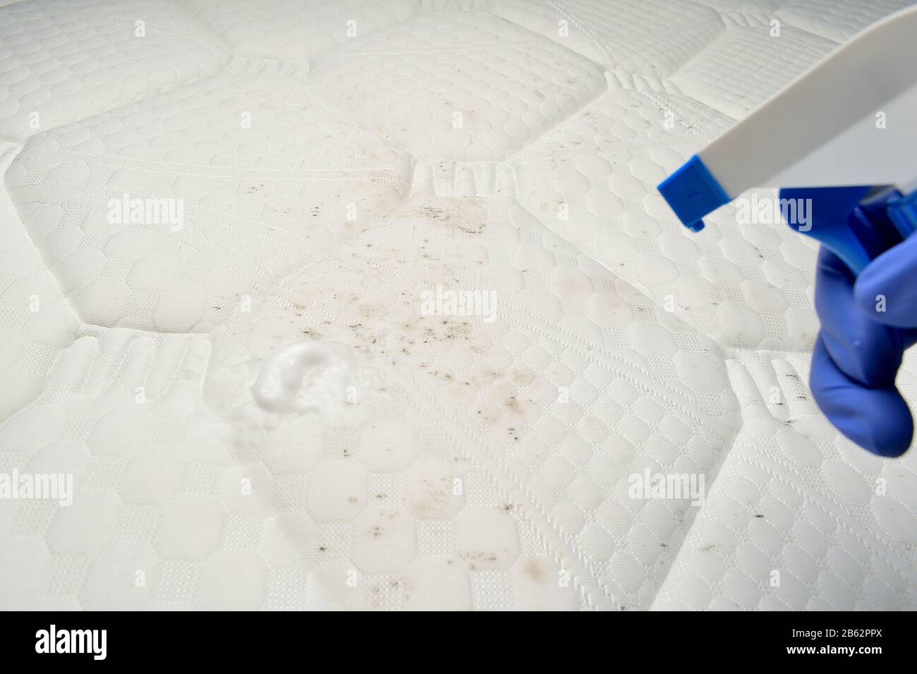 Mattress cleaner spray. Cleaning a mattress cloth with a foam stain remover.  Hand pulls a trigger Stock Photo - Alamy
