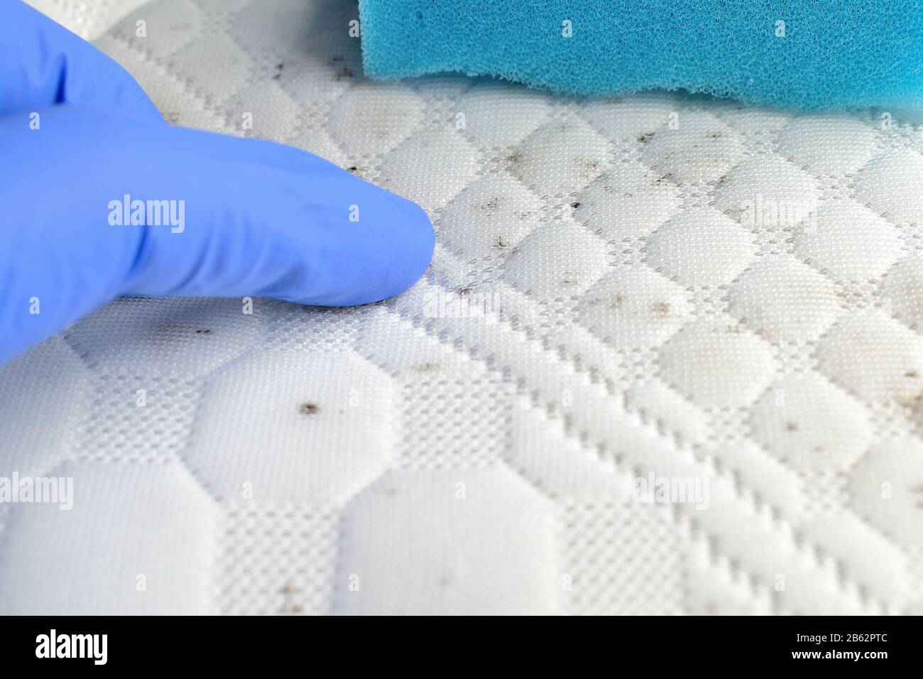 Removing stains on the mattress. Use sponge to clean fabric of fungus
