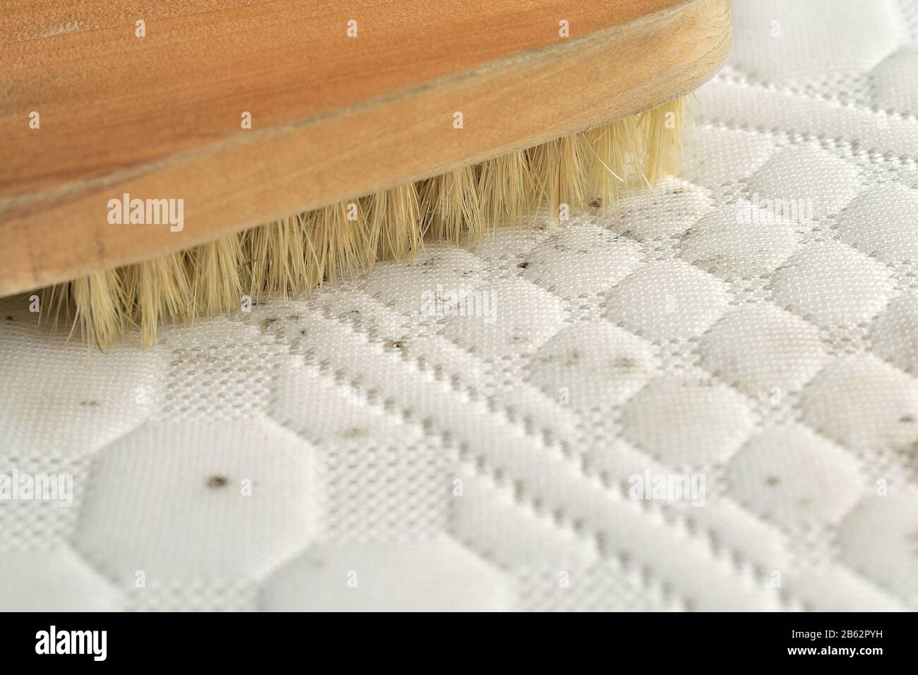 Cleaning mould from furniture hires stock photography and images Alamy