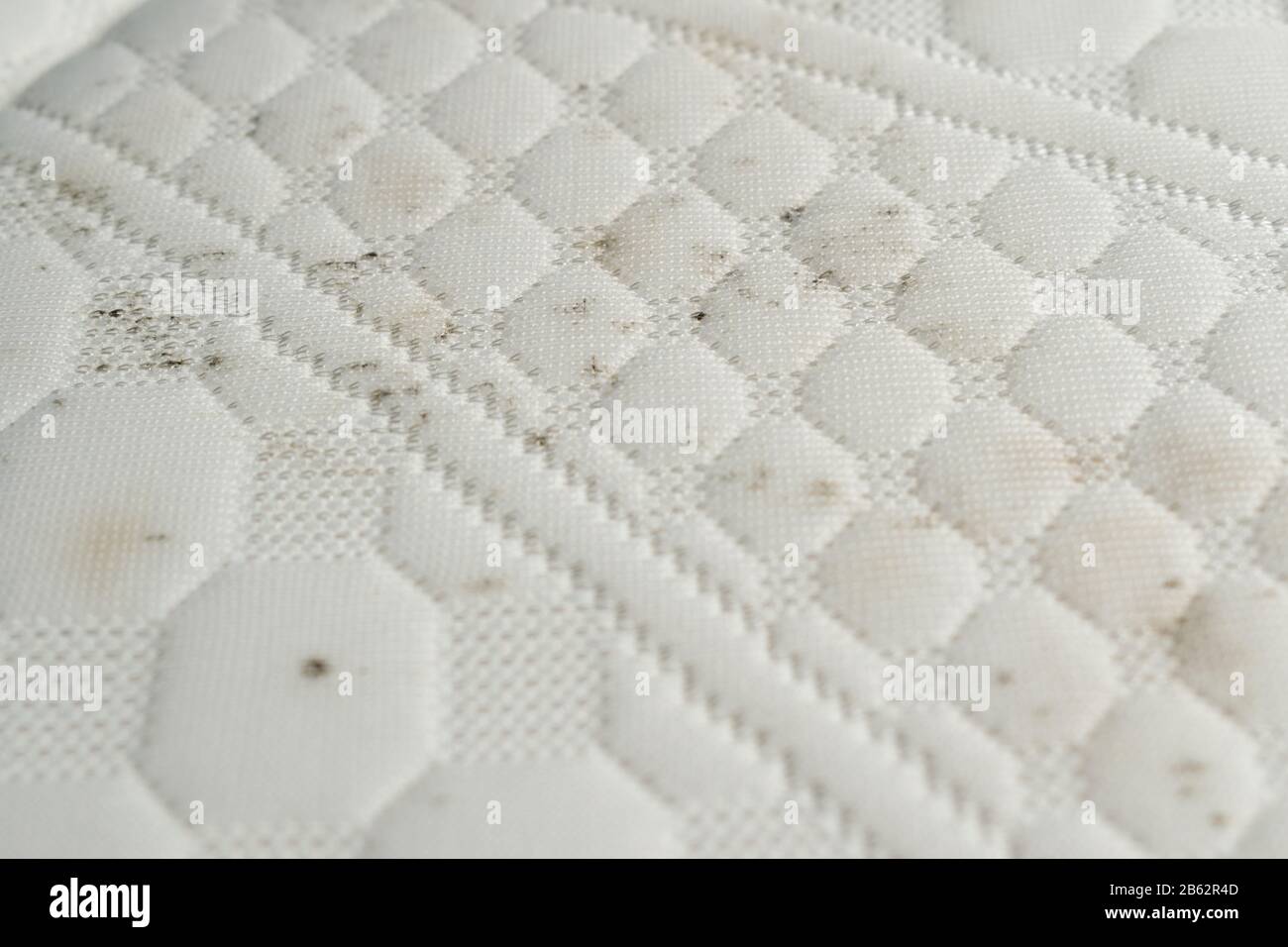 Mold and dirt on a bed. Mattress with spots of mildew spores Stock Photo -  Alamy